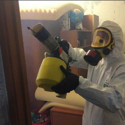 Уничтожение клопов в квартире. Унеча